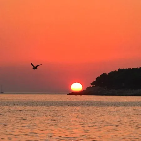 Apartamento Lux In Downtown